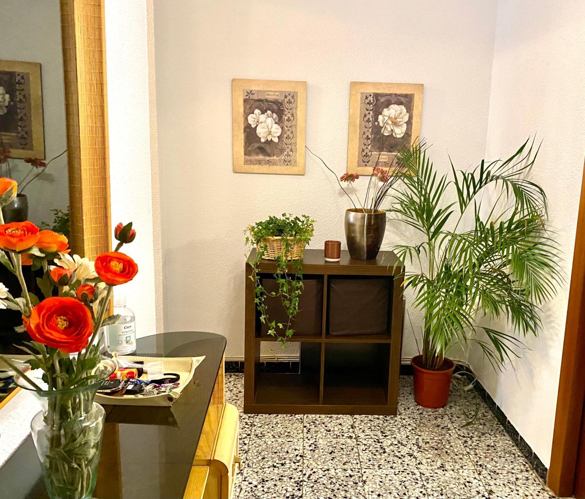 Habitacion My Home אליקאנטה מראה חיצוני תמונה